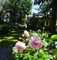 День цветов в усадебном саду ГМП